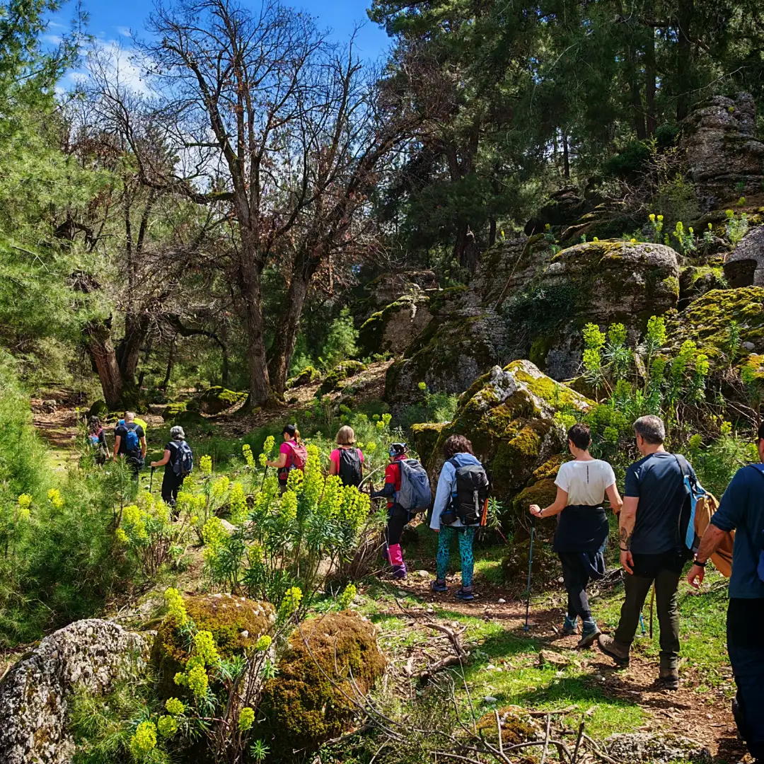 Dogada Yuruyus Yapan Insanlar